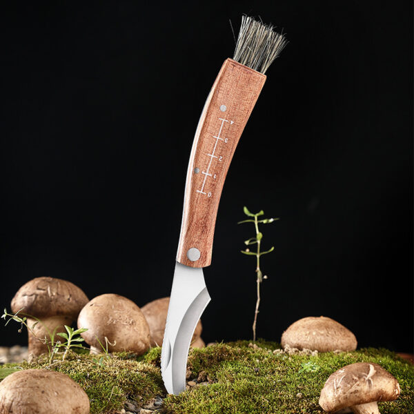 New Portable Camping Survival Knife - Image 2